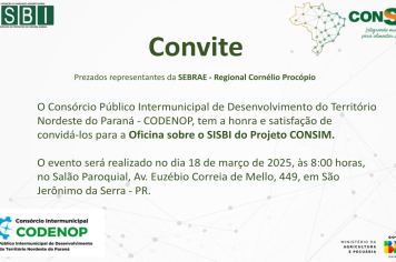 CONVITE - OFICINA SOBRE O SISBI DO PROJETO CONSIM